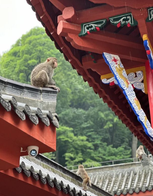 贵州跟团五日游热门线路推荐预算分析pg麻将胡了贵州旅游攻略必去景点(图1)